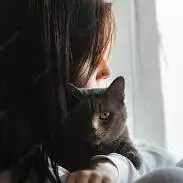 profile cat dp